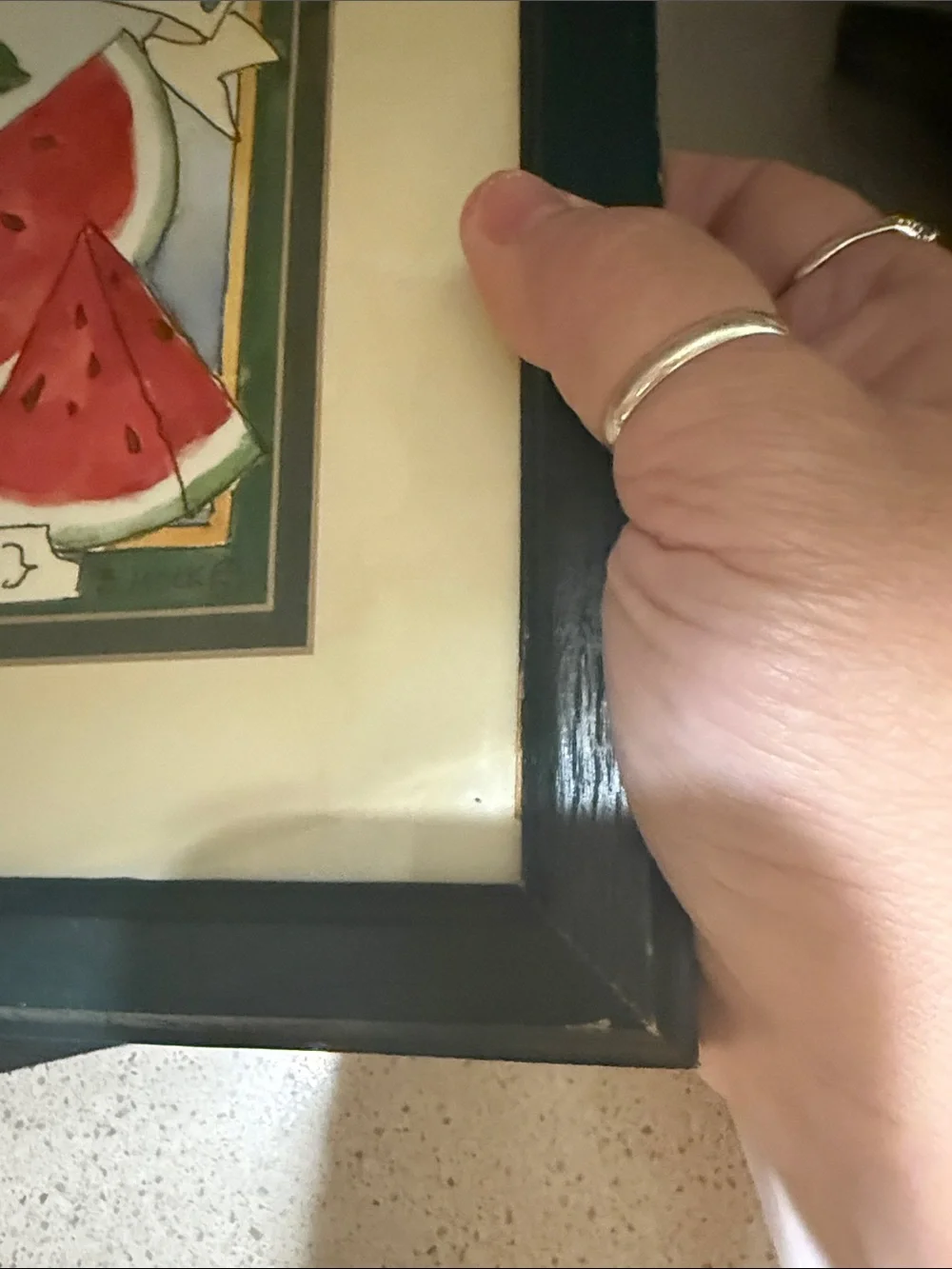 “Large Watermelon Seed Packet” framed picture of a watermelon seed packet.
